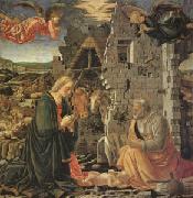 Master of the Louvre Nativity The Nativity (mk05) oil painting